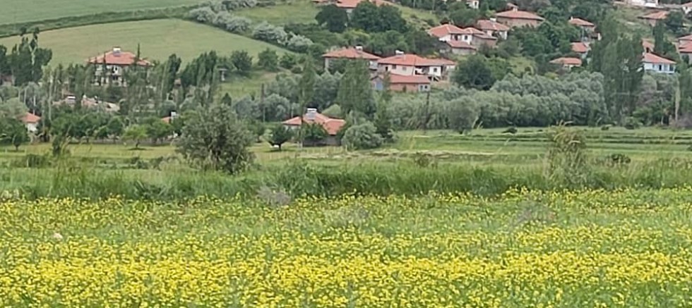 Köyümüzün Eski Adı ve Anlamı